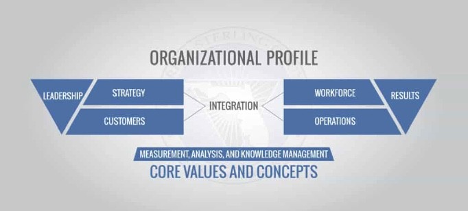 Organizational Profile